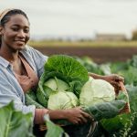 Malawi: African Development Fund Approves $8.5M Grant to Restore Cyclone-Ravaged Irrigation Schemes